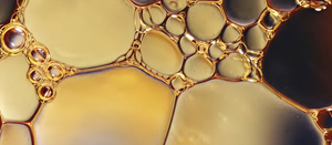 Conjugated Linoleic Acid (CLA)